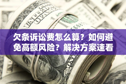 北京欠条诉讼费怎么算？如何避免高额风险？解决方案速看！
