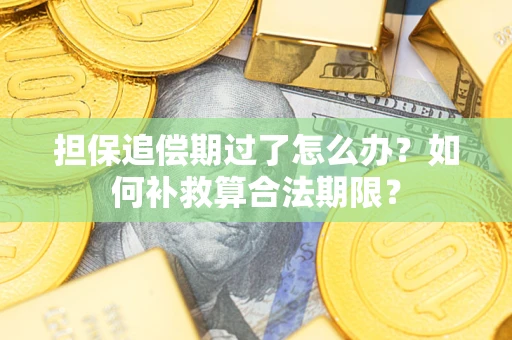 北京担保追偿期过了怎么办？如何补救算合法期限？