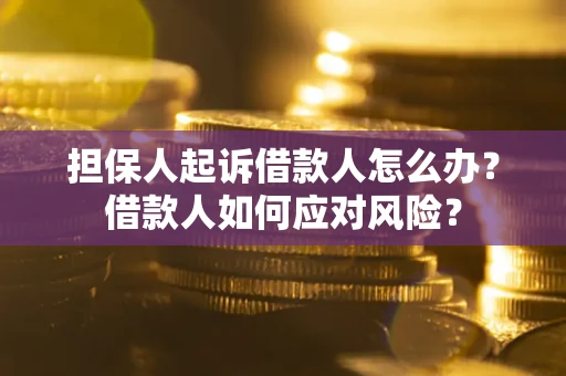 北京担保人起诉借款人怎么办？借款人如何应对风险？