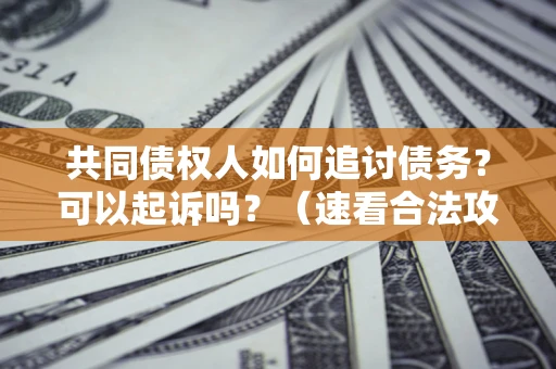 北京共同债权人如何追讨债务？可以起诉吗？（速看合法攻略）
