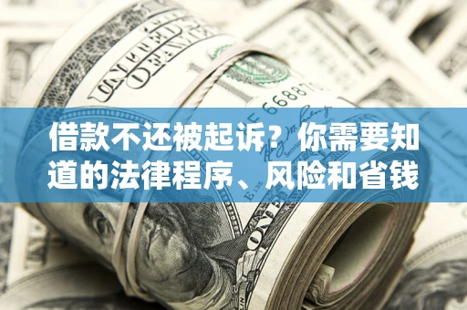 北京借款不还被起诉？你需要知道的法律程序、风险和省钱技巧